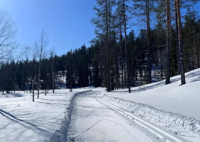Semesterbostad Maentytupa Syöte